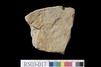 藏品(頁岩)的圖片